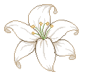 pixel white lily by Alyssdream