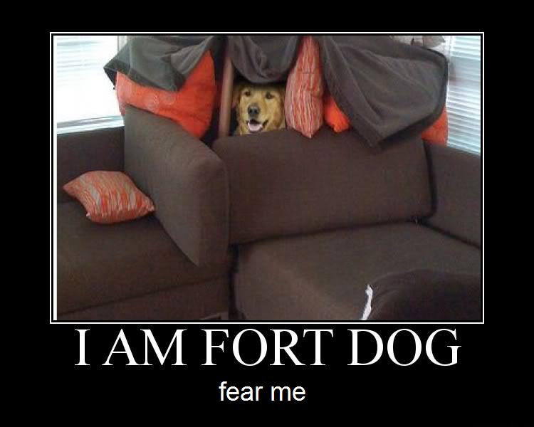 Fort Dog