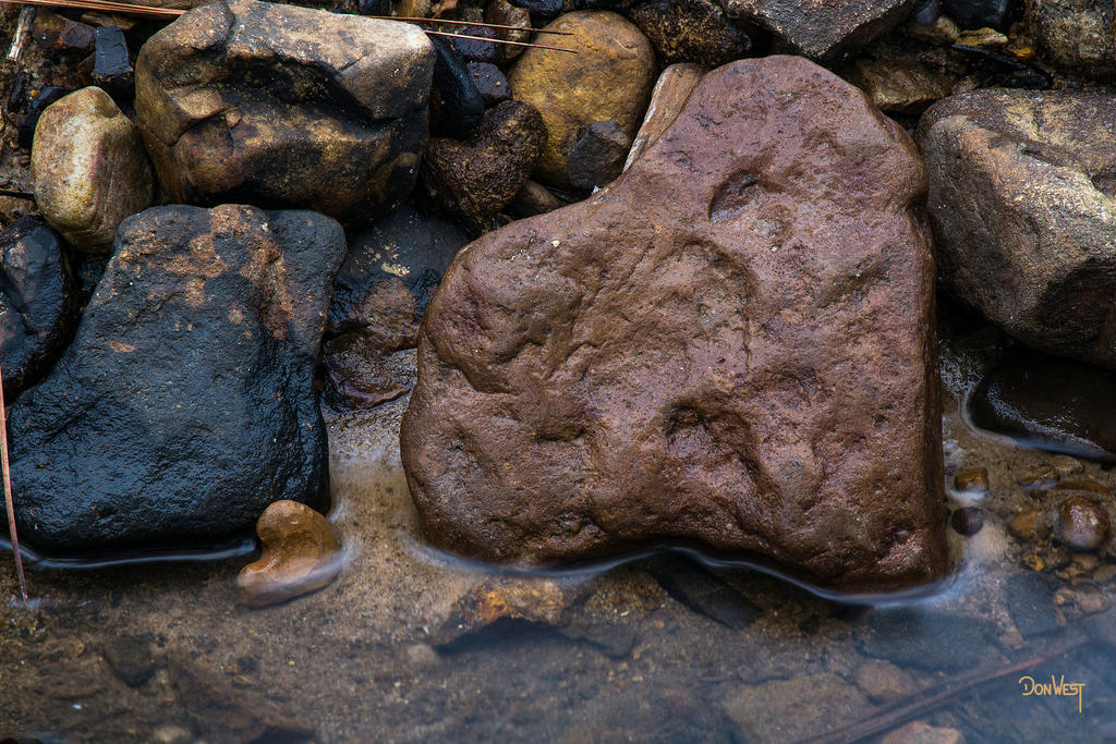 Hearts of Stone