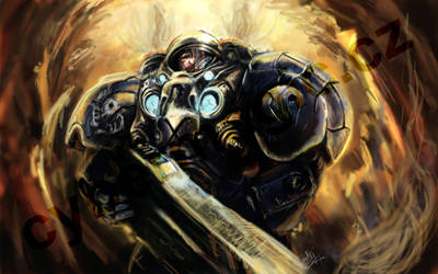 Starcraft marine