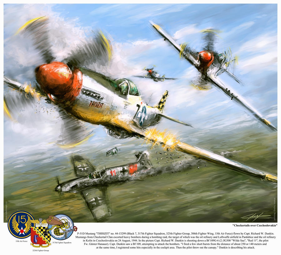 World War 2: P 51D Thisizit 'Checkertails'