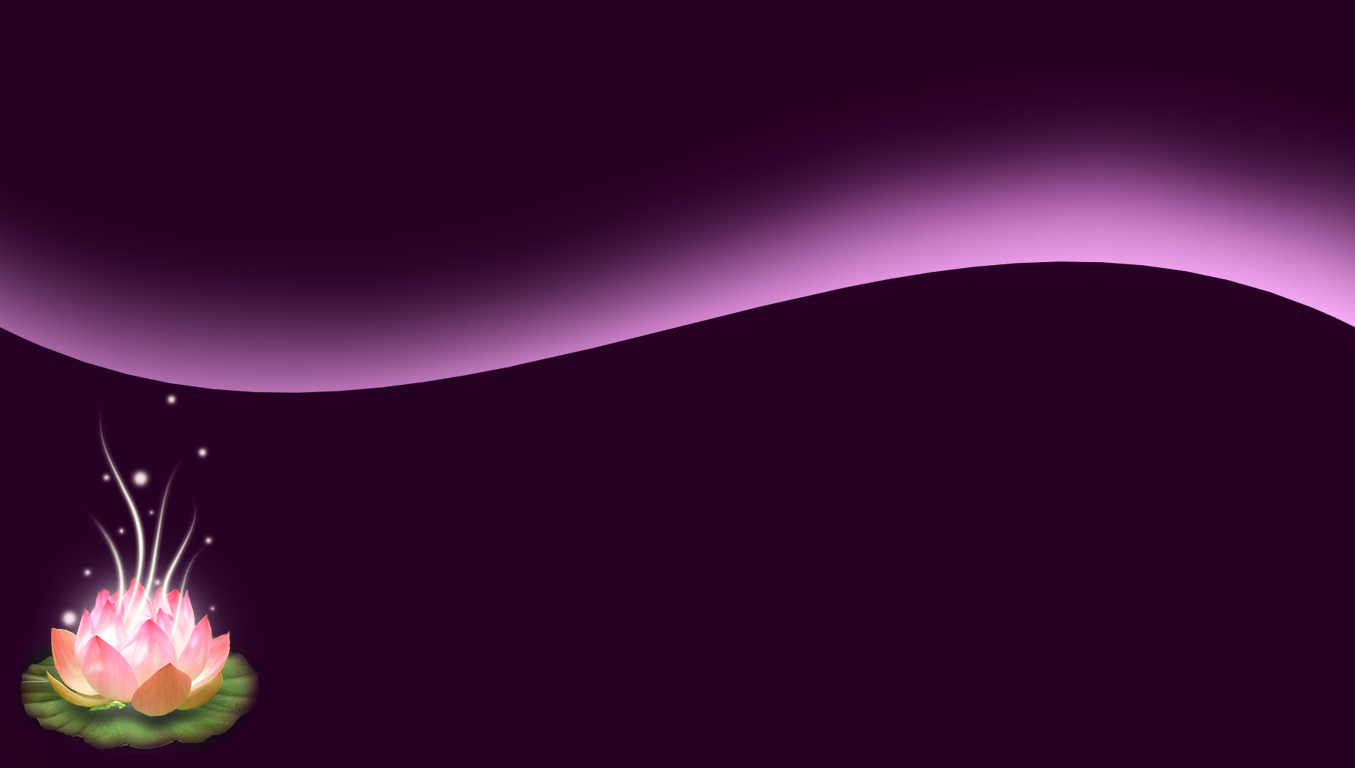 lotus wallpaper by nbones on DeviantArt lotus wallpaper by nbones on DeviantArt
