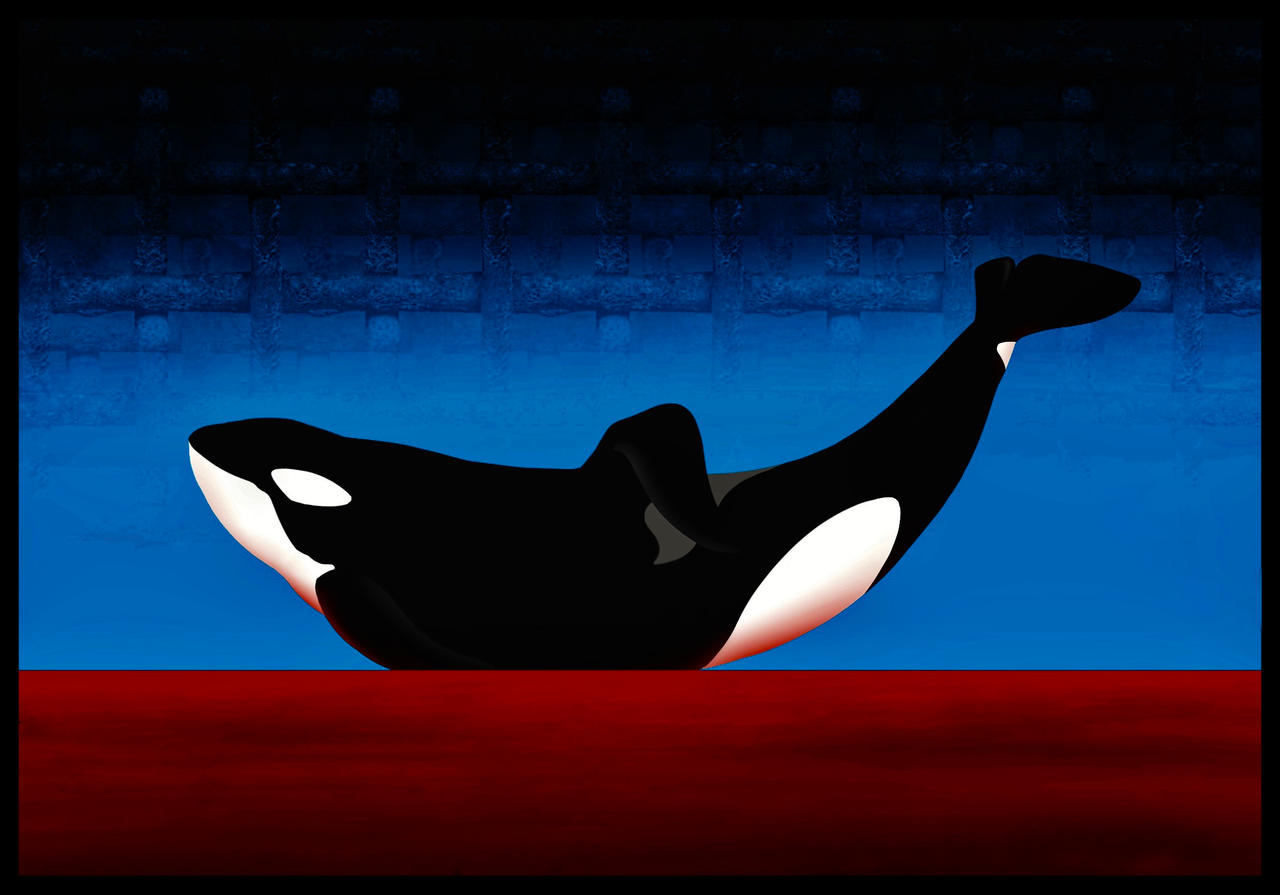 Orca Tilikum by Filiko on DeviantArt Orca Tilikum by Filiko on DeviantArt
