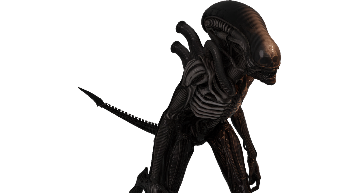 Python Xenomorph Xenomorph walk Animation by nrnnfjf on DeviantArt