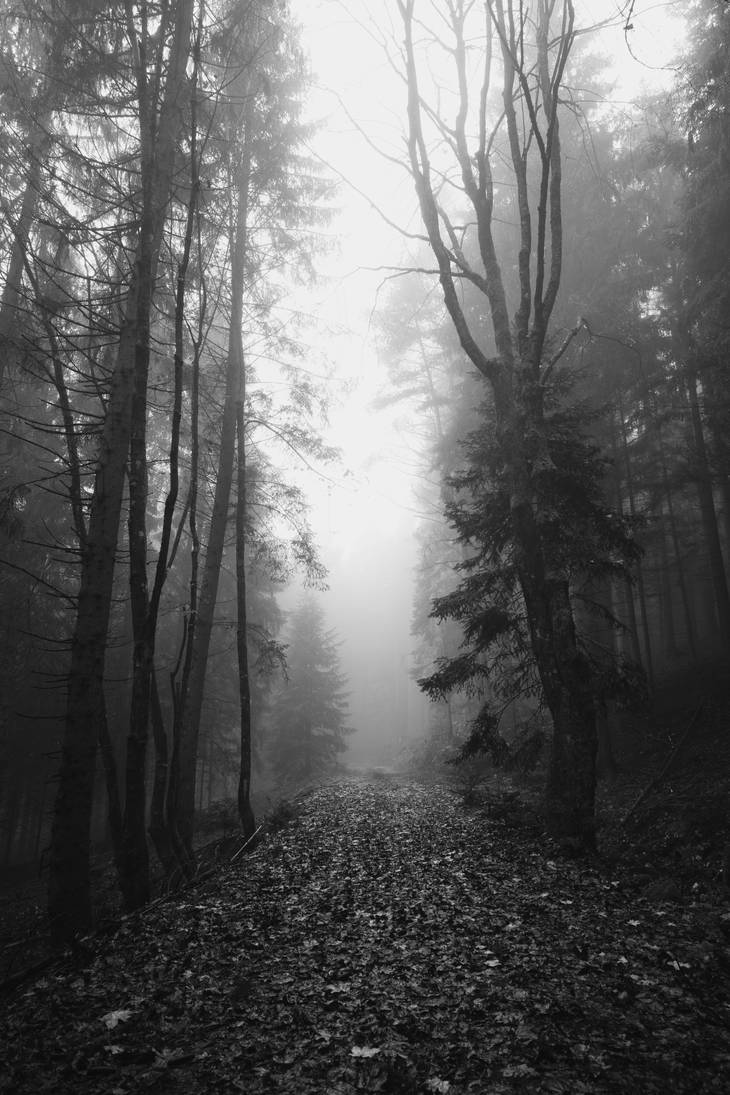 Fall Dark Mist Misty Dark Autumn by SecretForestPath on DeviantArt