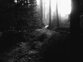 A Place To Hide Forever