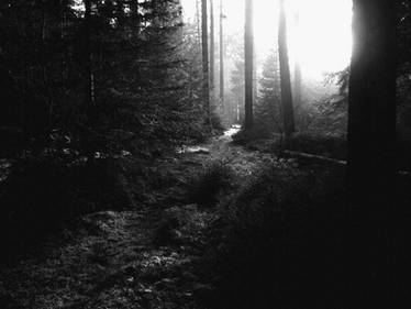 A Place To Hide Forever