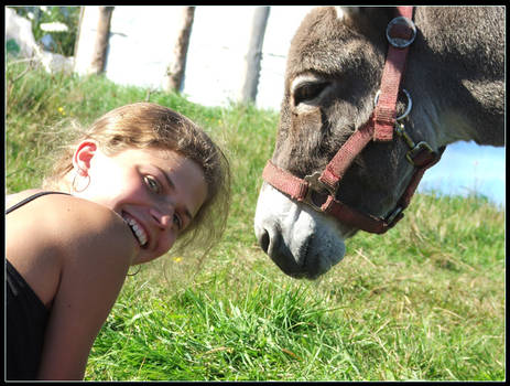 Two Little Donkeys