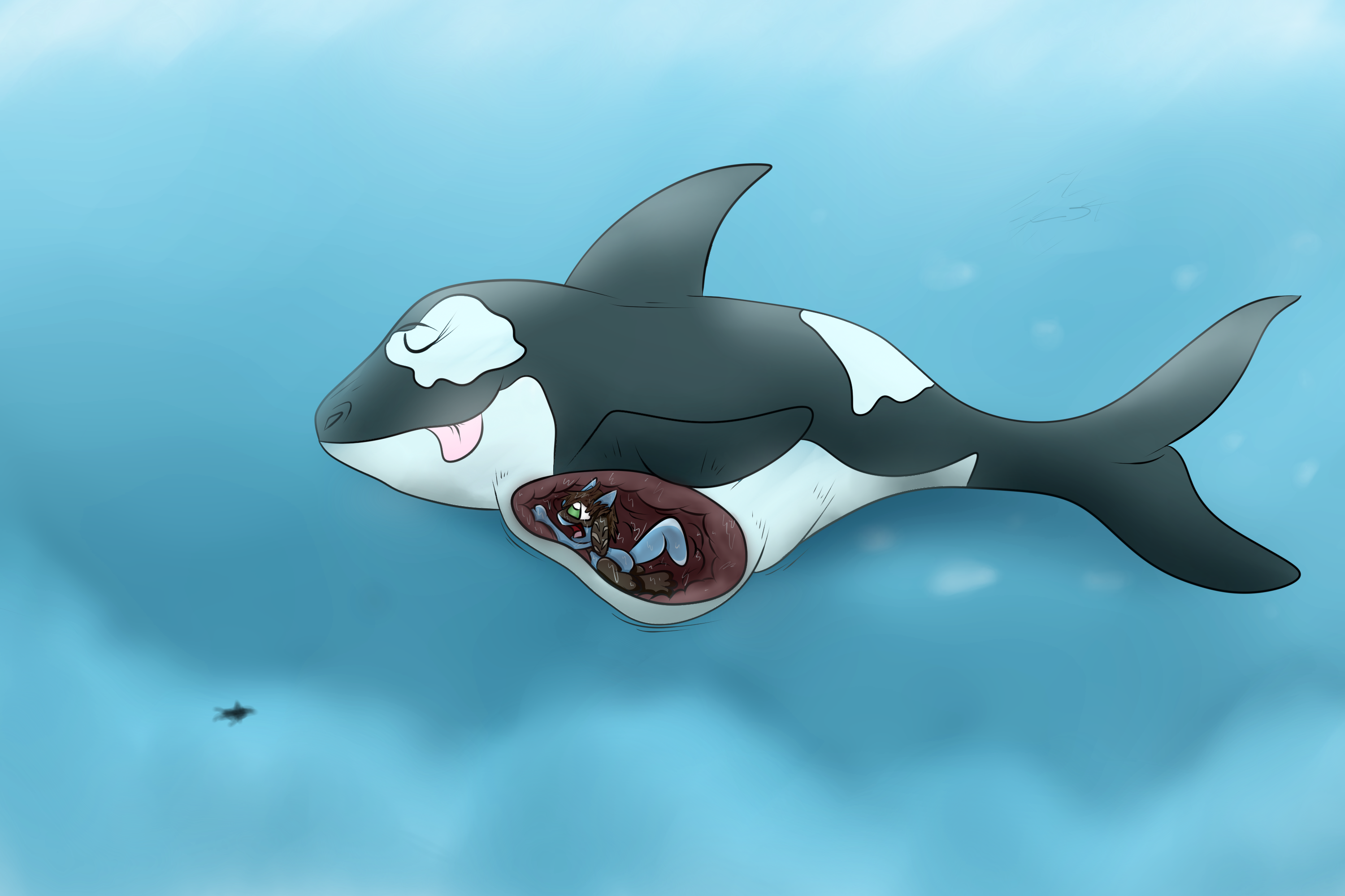 I Orca Get Outta Here! 