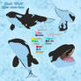 ZW's - Killer-Whale From