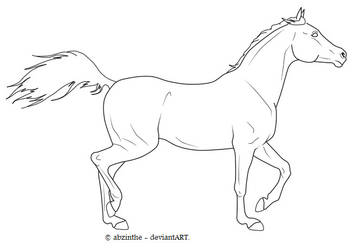 Arabian horse lineart _ 2