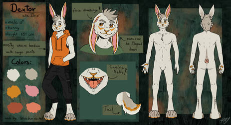 Dex reference sheet