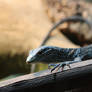 Blue Tree Monitor