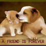 A FRIEND IS FOREVER