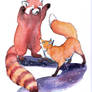 Red Panda and Fox Playing