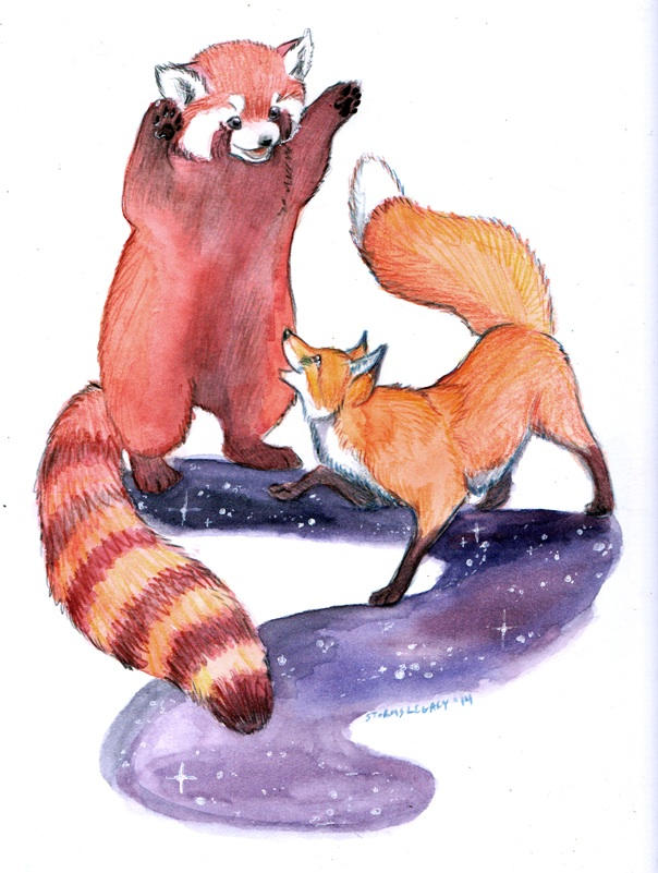 Red Panda And Fox Playing By Stormslegacy On DeviantArt red-panda-and-fox-playing-by-stormslegacy-on-deviantart