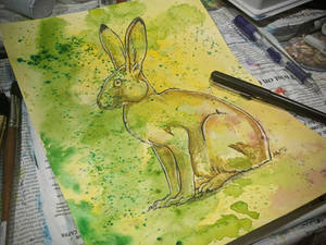 Hare