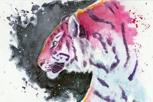 Patreon Tiger Watercolor Sketch