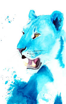 Lioness Patreon Sketch