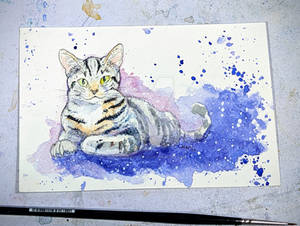 Kitty Postcard Sketch