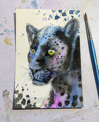 Black leopard sketch for patreon