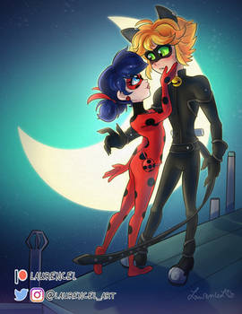 Ladybug and Chat Noir in the Moonlight- Miraculous