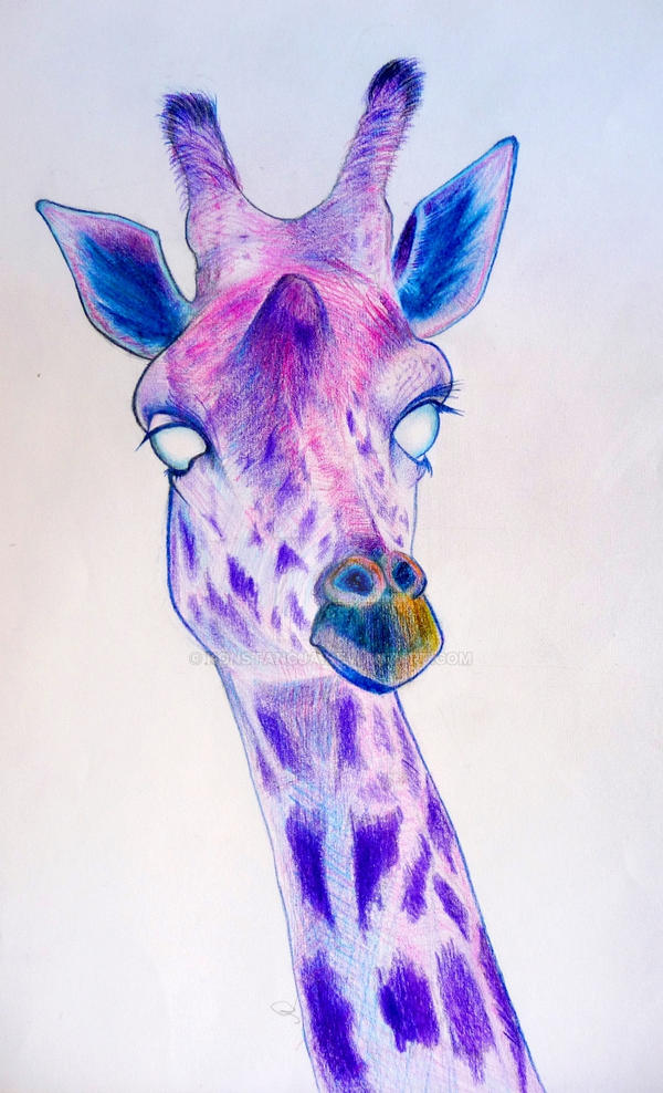 le pink giraffe