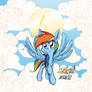 dashie twenty percent cooler