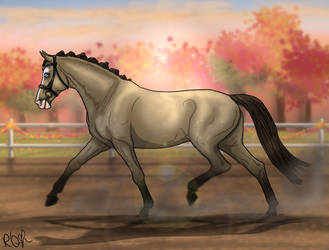 Autumn Event 5.0 - Avignon Halter