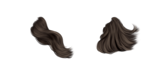 Hair-png  1 