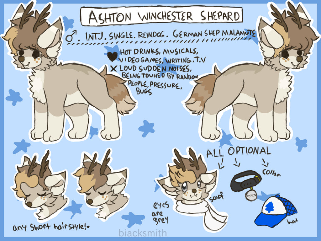 Ashton Ref 2017 by bIacksmith