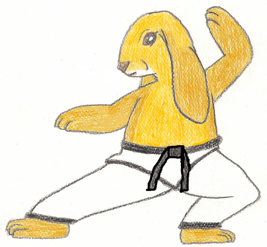 Stuffy the Kung-Fu Rabbit by ARCGaming91 on DeviantArt