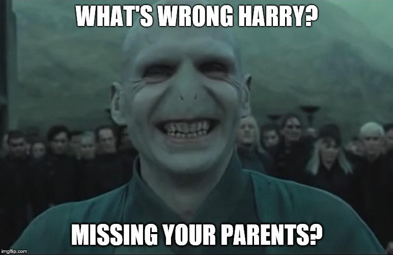 Harry Potter Meme - Voldemort by Oceanhell on DeviantArt