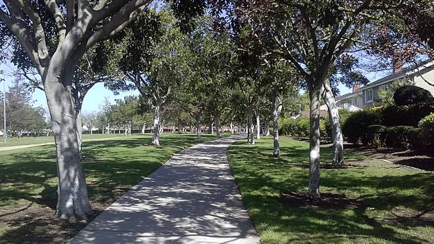 Beautiful Park in Costa Mesa