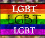 I Support The LGBT Community