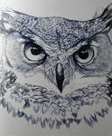 Intense Gaze of the Wizened Owl by SamGuentherArt