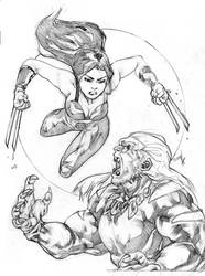 x-23 vs. sabertooth by gunzaku56