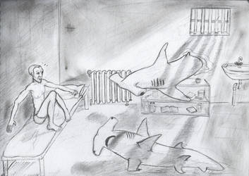 Sharks by KlementHess