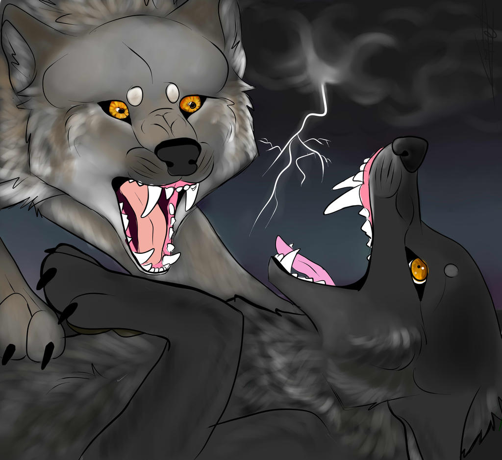 The Fight ! by BlastOfWinter