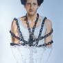 Houdini (Adrien Brody) - disegno in esecuzione 16^