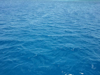 BLUUUUUUE hawaii 7