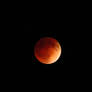 Blood Moon