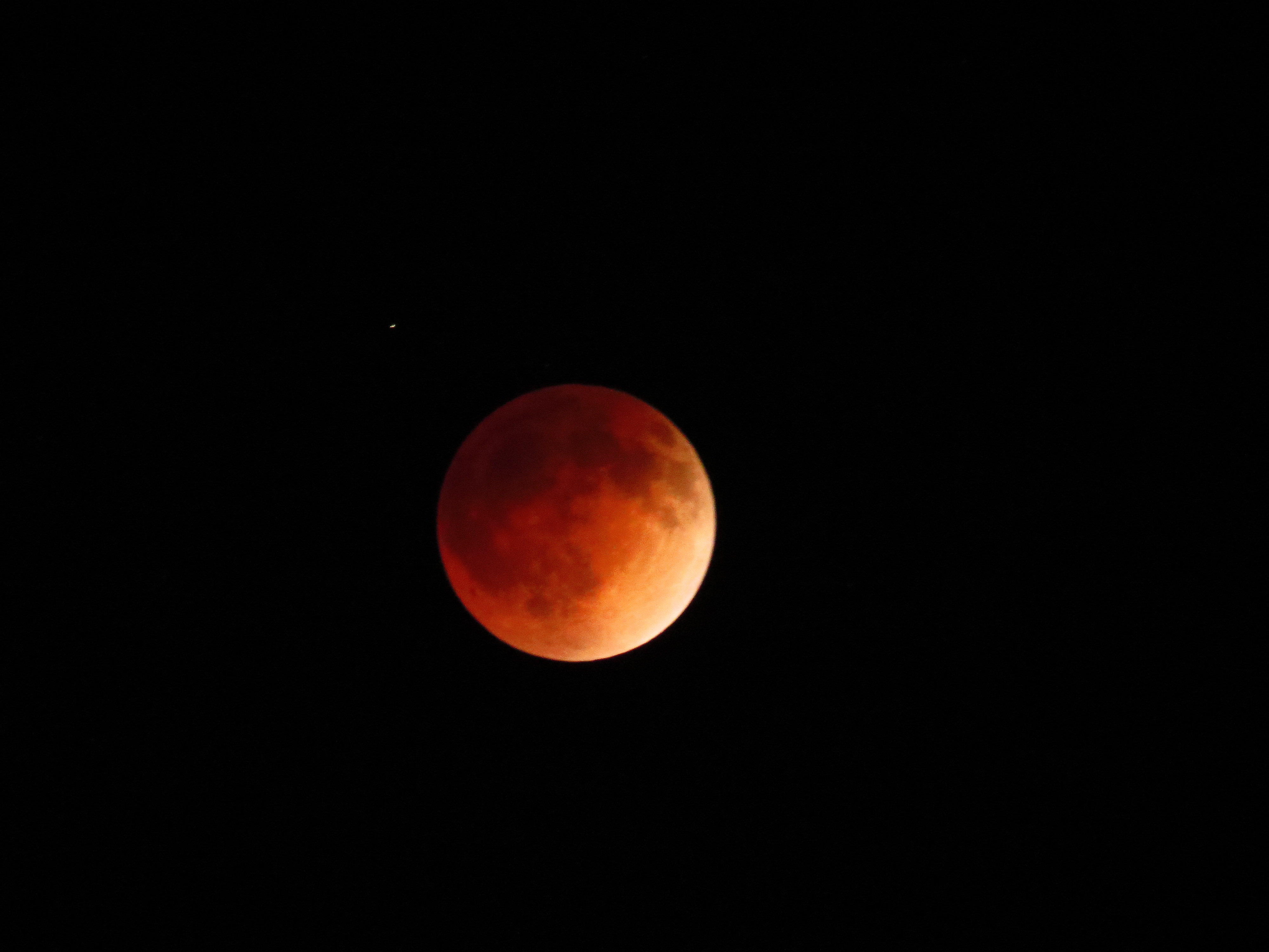 Blood Moon