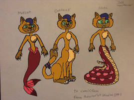 Three New Forms For Capper (Colored) by lh1200