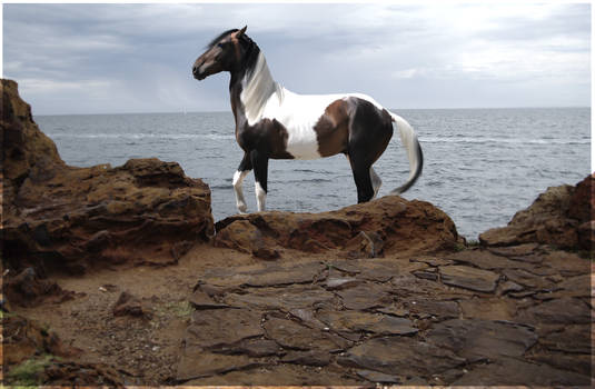 Beach Horse