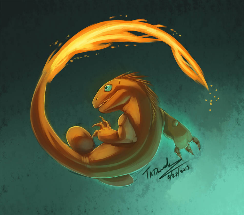 004 Charmander by Taddle