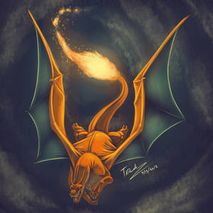 006 - Charizard