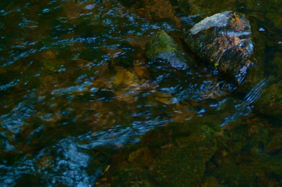 Rocks in The River