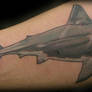 Great White Tattoo