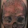 Catacomb Skull